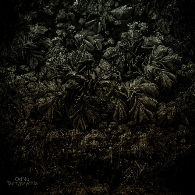 Cognitive Bias, Pt. 2: Tachypsychia cover art