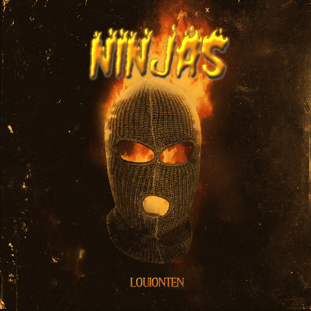 Ninjas cover