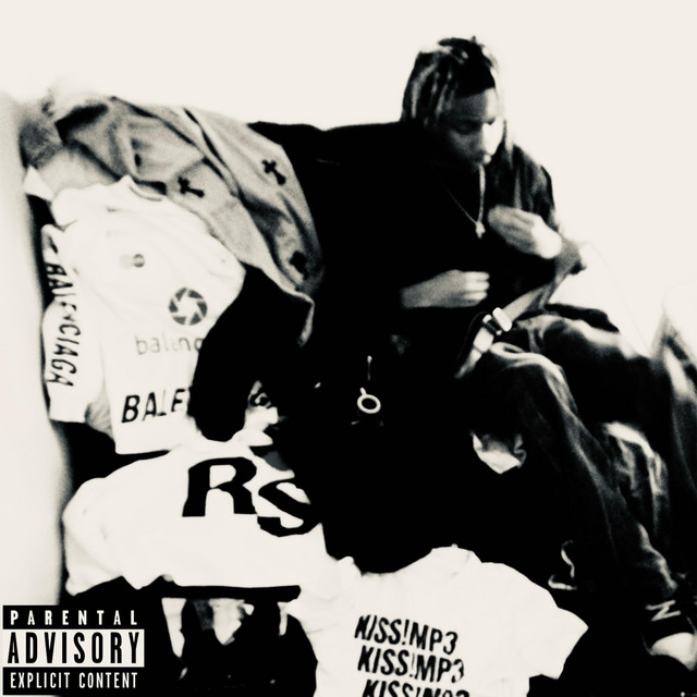 My Love For Anarchy cover art