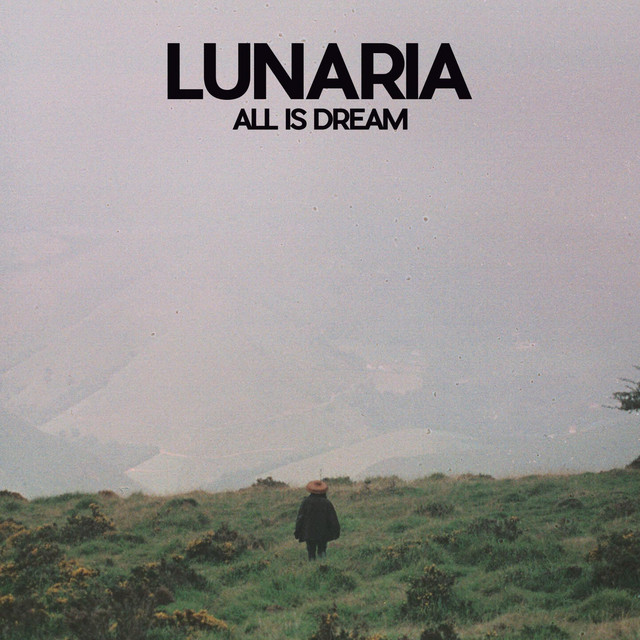 All Is Dream cover art