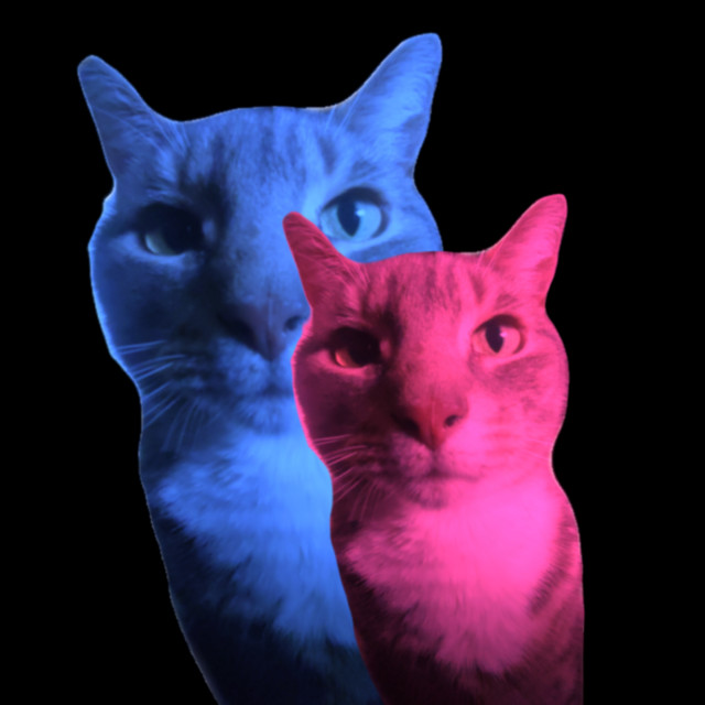 joy cover art