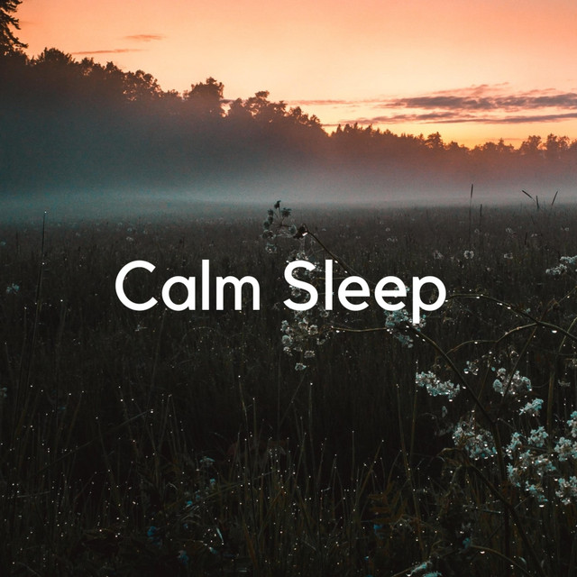 Calm Sleep in Norway (Best Relaxing Music) cover art