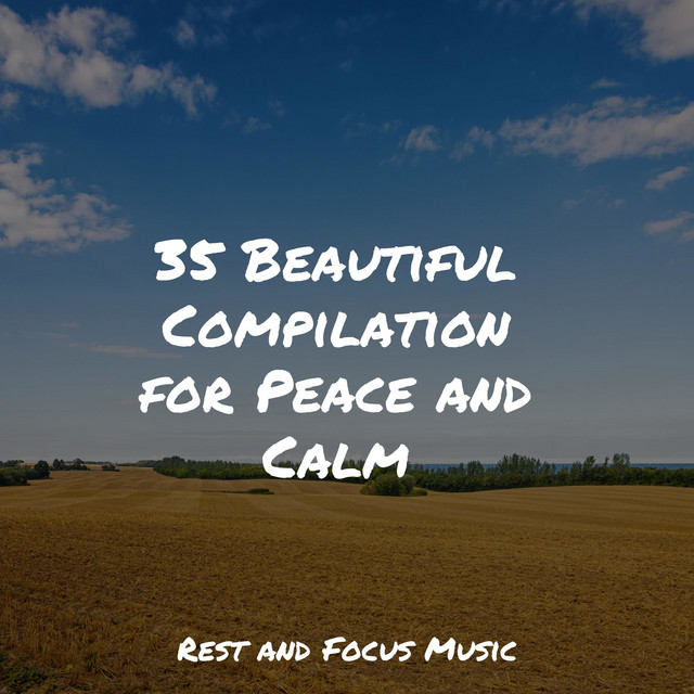 35 Beautiful Compilation for Peace and Calm - Album by Academia de ...