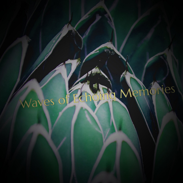Waves of Echoing Memories cover art