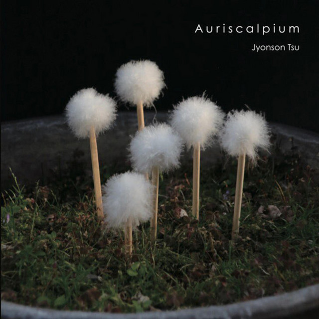 Auriscalpium cover art