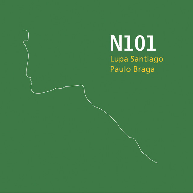 N101 cover art