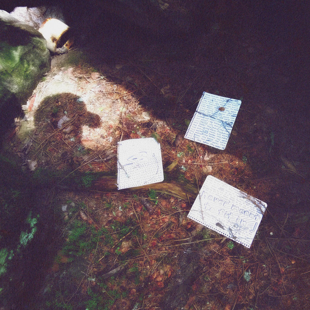 stop motion cover art