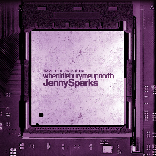 whenidieburymeupnorth album image