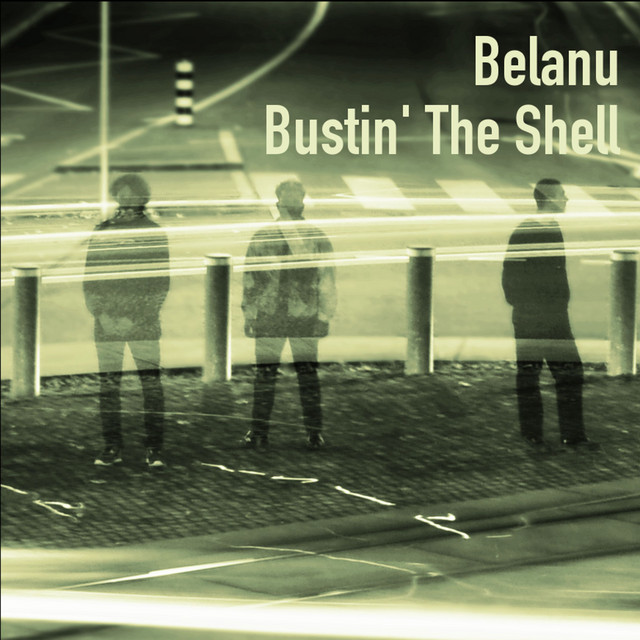 Bustin' the Shell cover art