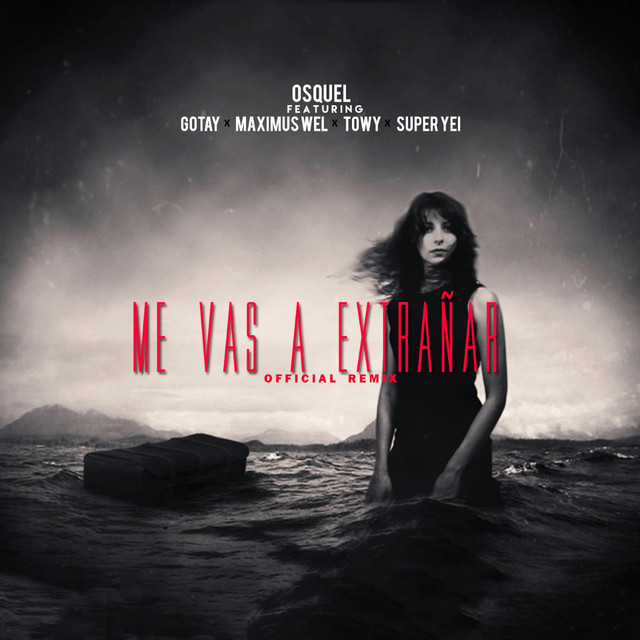 Me Vas a Extrañar (Official Remix)
