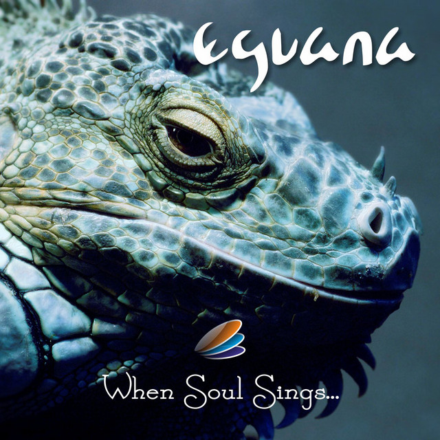 When Soul Sings... cover art