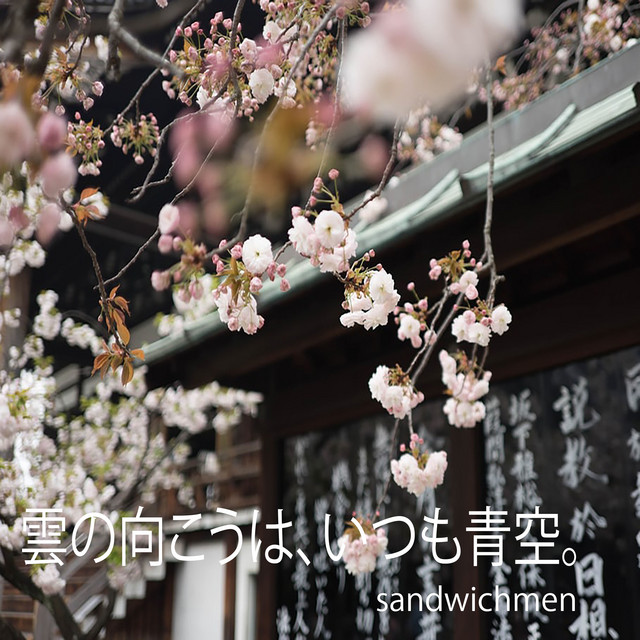 雲の向こうは、いつも青空。 cover art
