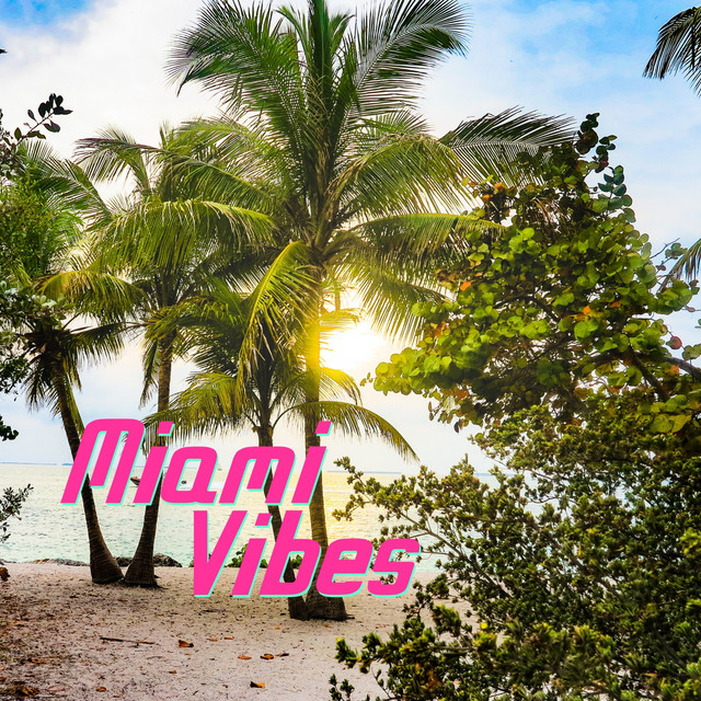 Miami vibes cover art