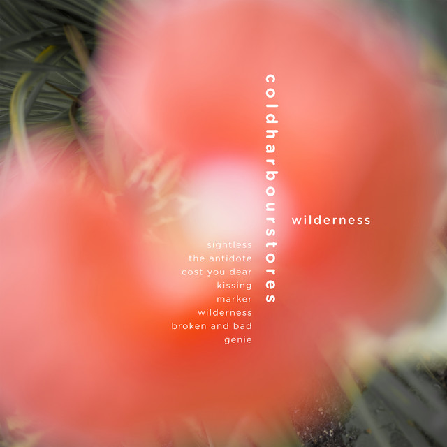 Wilderness cover art