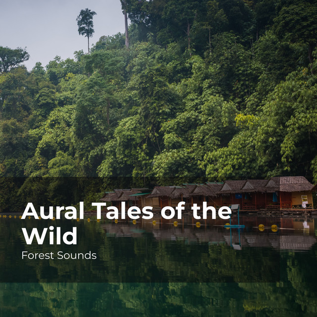 Aural Tales of the Wild cover art