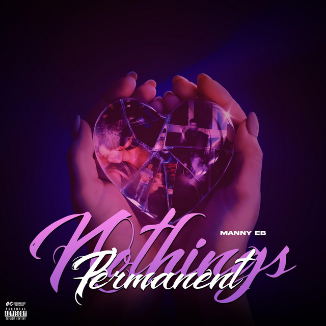 Nothing's Permanent cover art