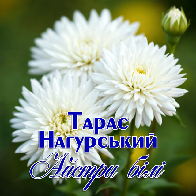 Обкладинка: Айстри білі — Тарас Нагурський