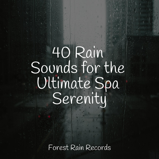 40 Rain Sounds for the Ultimate Spa Serenity - Album by Pro Sound ...