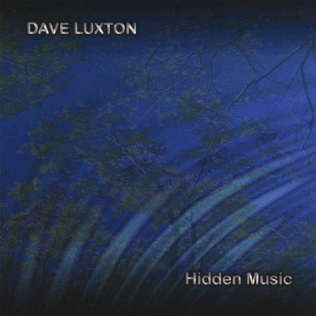 Hidden Music cover