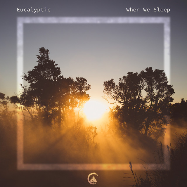 When We Sleep cover art