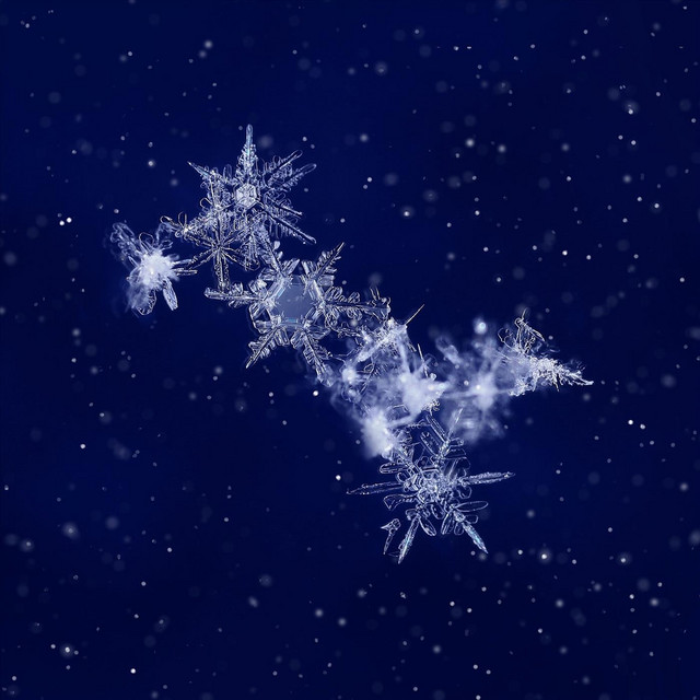 Cover art: The Magic of Winter — Vens Adams