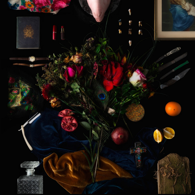 Amer cover art