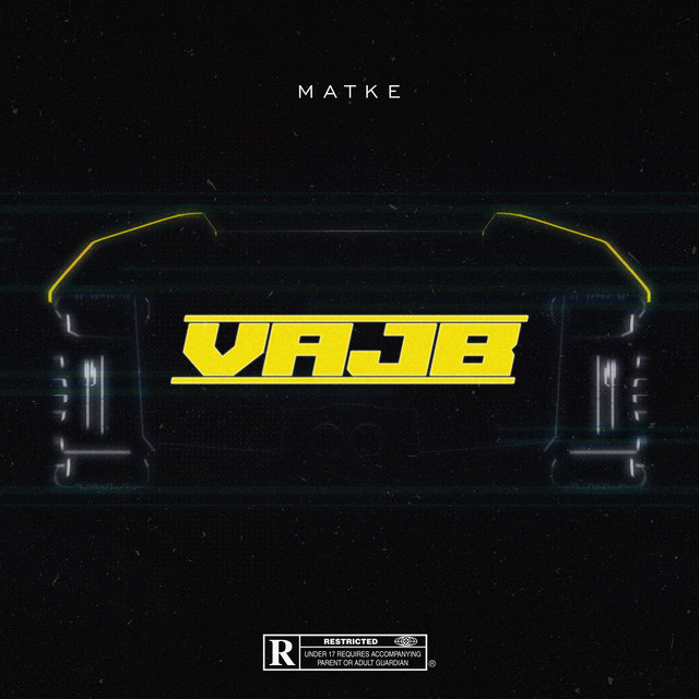 Vajb cover