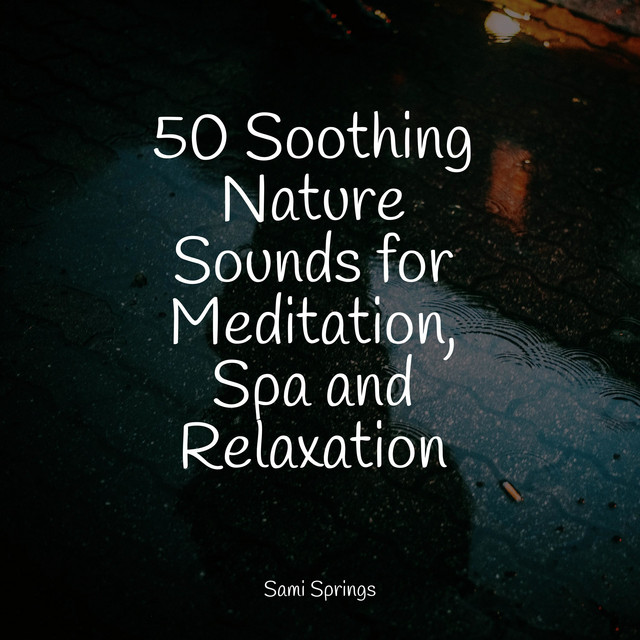 50 Soothing Nature Sounds for Meditation, Spa and Relaxation - Album by ...