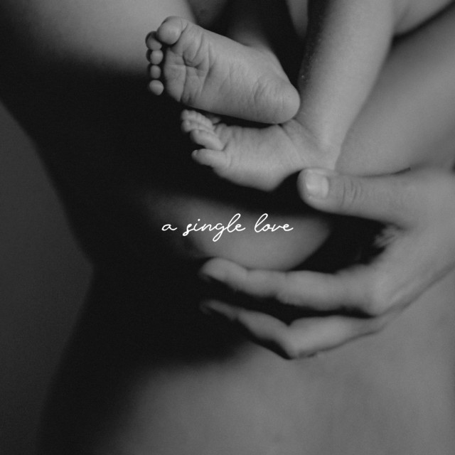 Cover of A Single Love by Ferragno