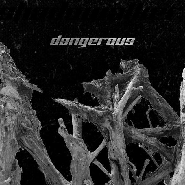 Dangerous cover art