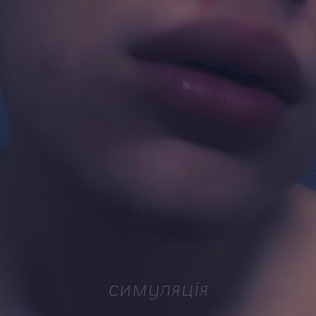 Обкладинка DL — Симуляція - Single