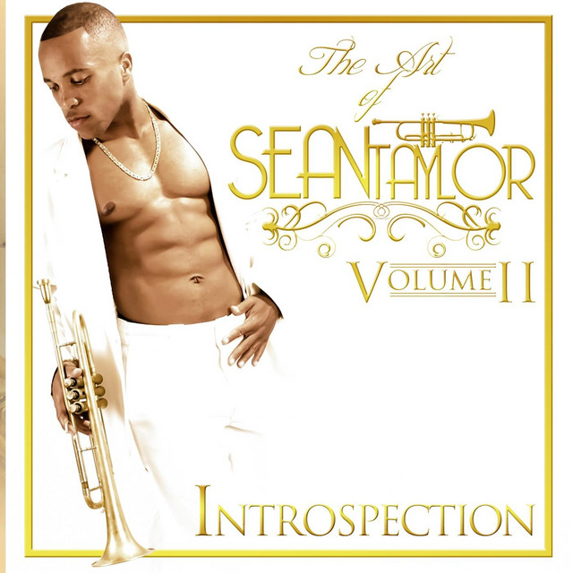 Introspection I cover art
