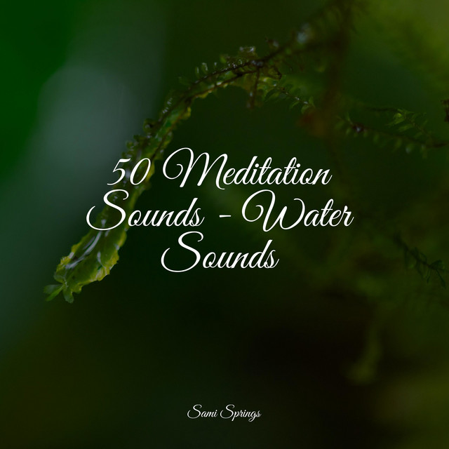 50 Meditation Sounds - Water Sounds - Album by Rain Sounds Factory ...