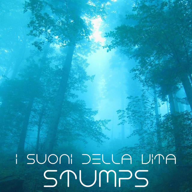 I SUONI DELLA VITA cover art
