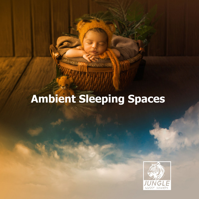 Ambient Sleeping Spaces - Album by Jungle Sleep Sounds | Spotify