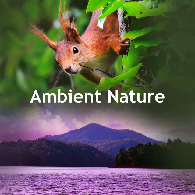 Ambient Nature - Album by Natural Sound Makers | Spotify