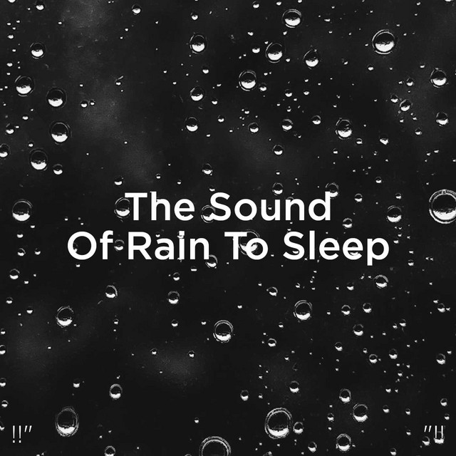 The Sound Of Rain To Sleep "!! - Album by Rain Sounds | Spotify