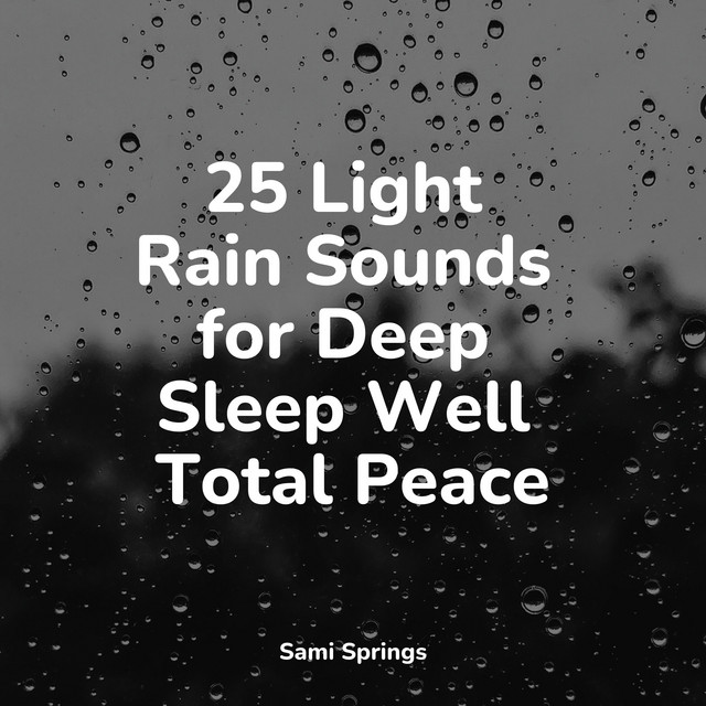 25 Light Rain Sounds for Deep Sleep Well Total Peace - Album by ...