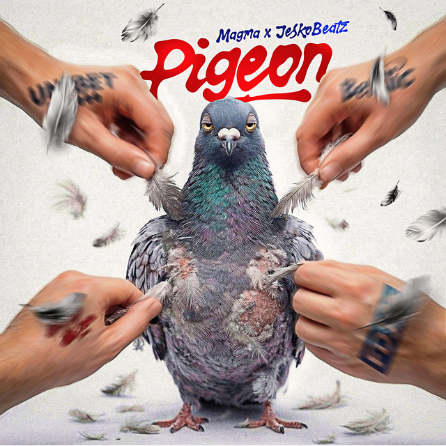 Cover du titre PIGEON