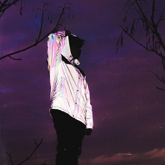 Dinte pentru dinte cover art
