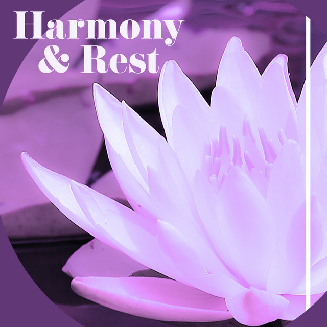 Harmony & Rest cover art