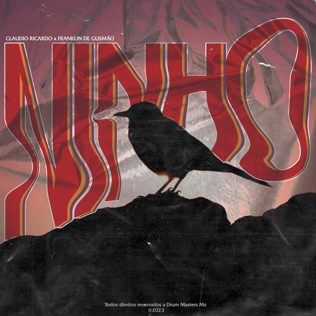 Album cover for Ninho by Claudio Ricardo