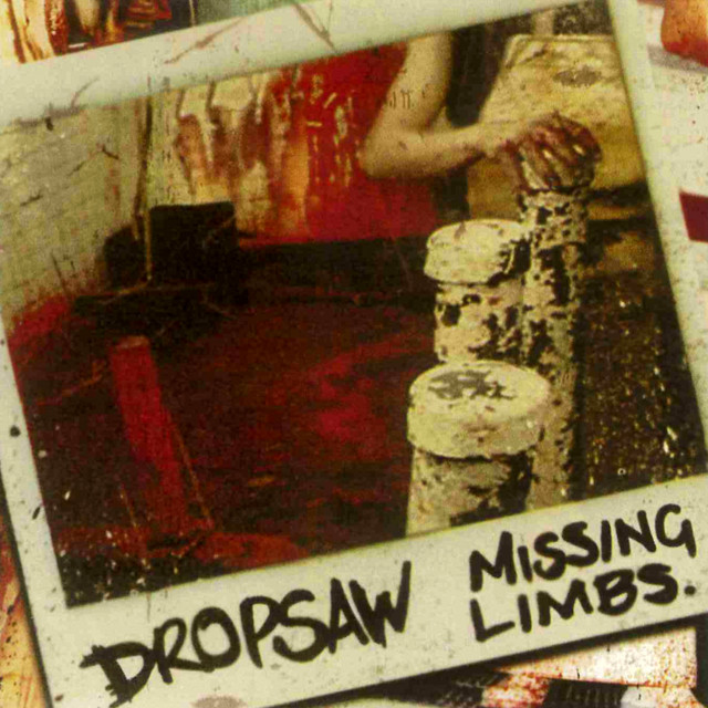 Missing Limbs cover art