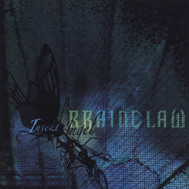 Insekt/Angel cover art