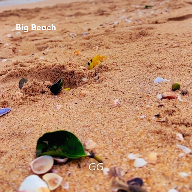 Big Beach by GG
