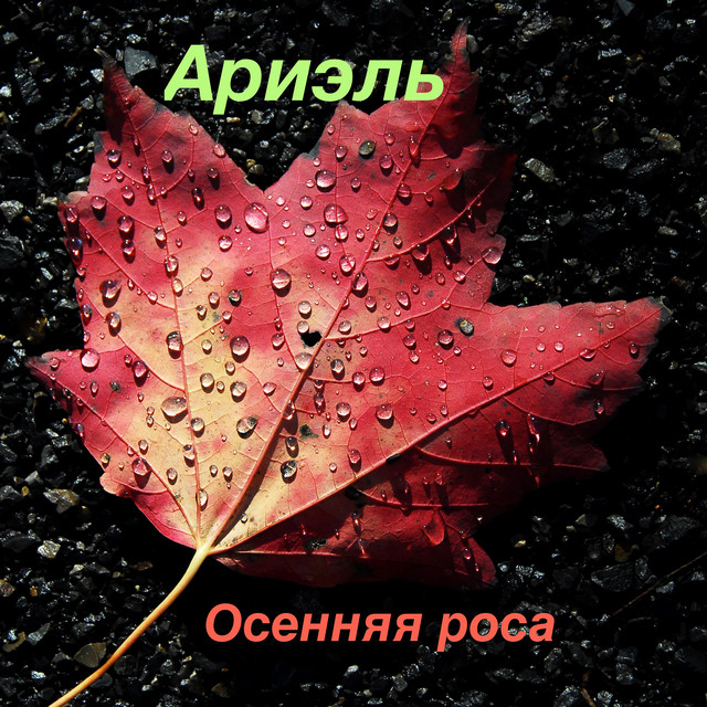 Осенняя роса cover art