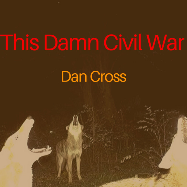 This Damn Civil War cover