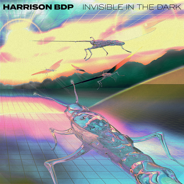 Invisible in the Dark album art