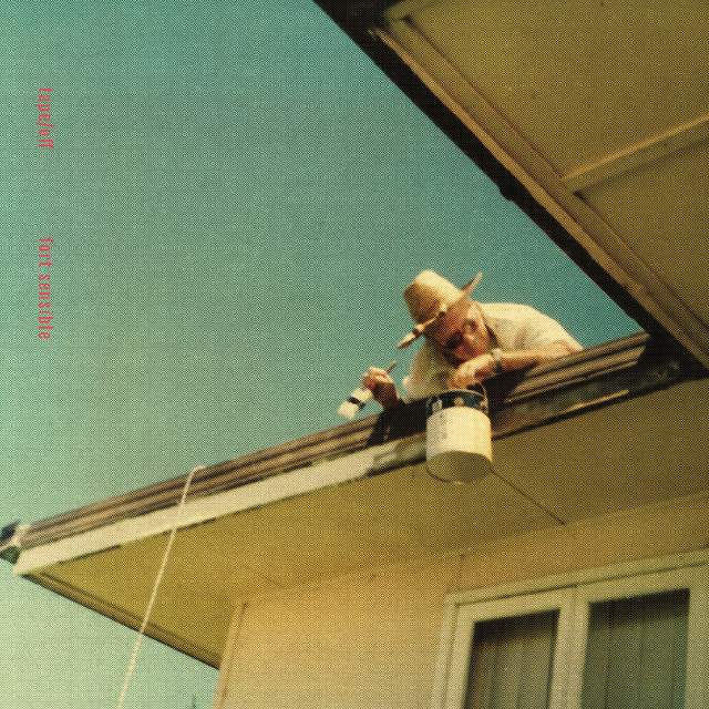 Fort Sensible cover art