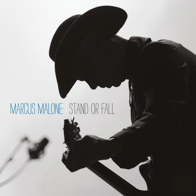 Stand or Fall cover art